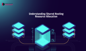 Understanding Shared Hosting Resource Allocation