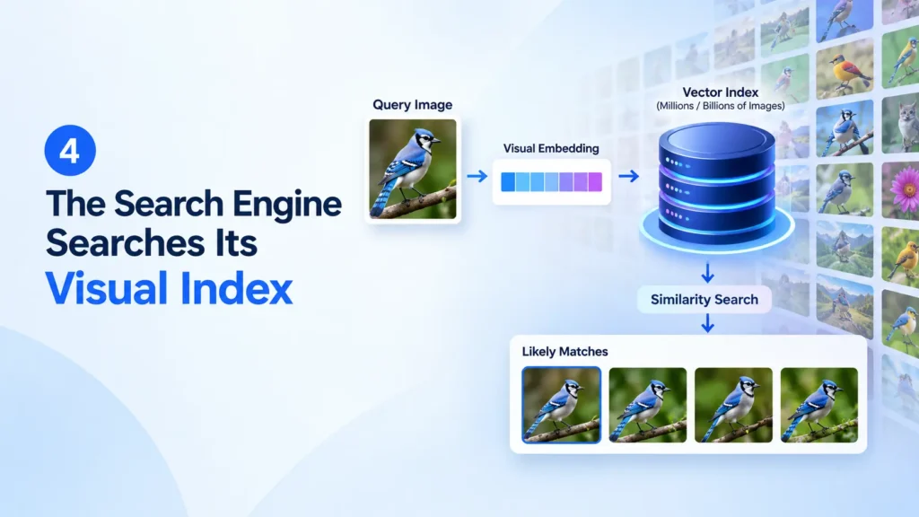 The Search Engine Searches Its Visual Index- How Does AI Visual Search Work